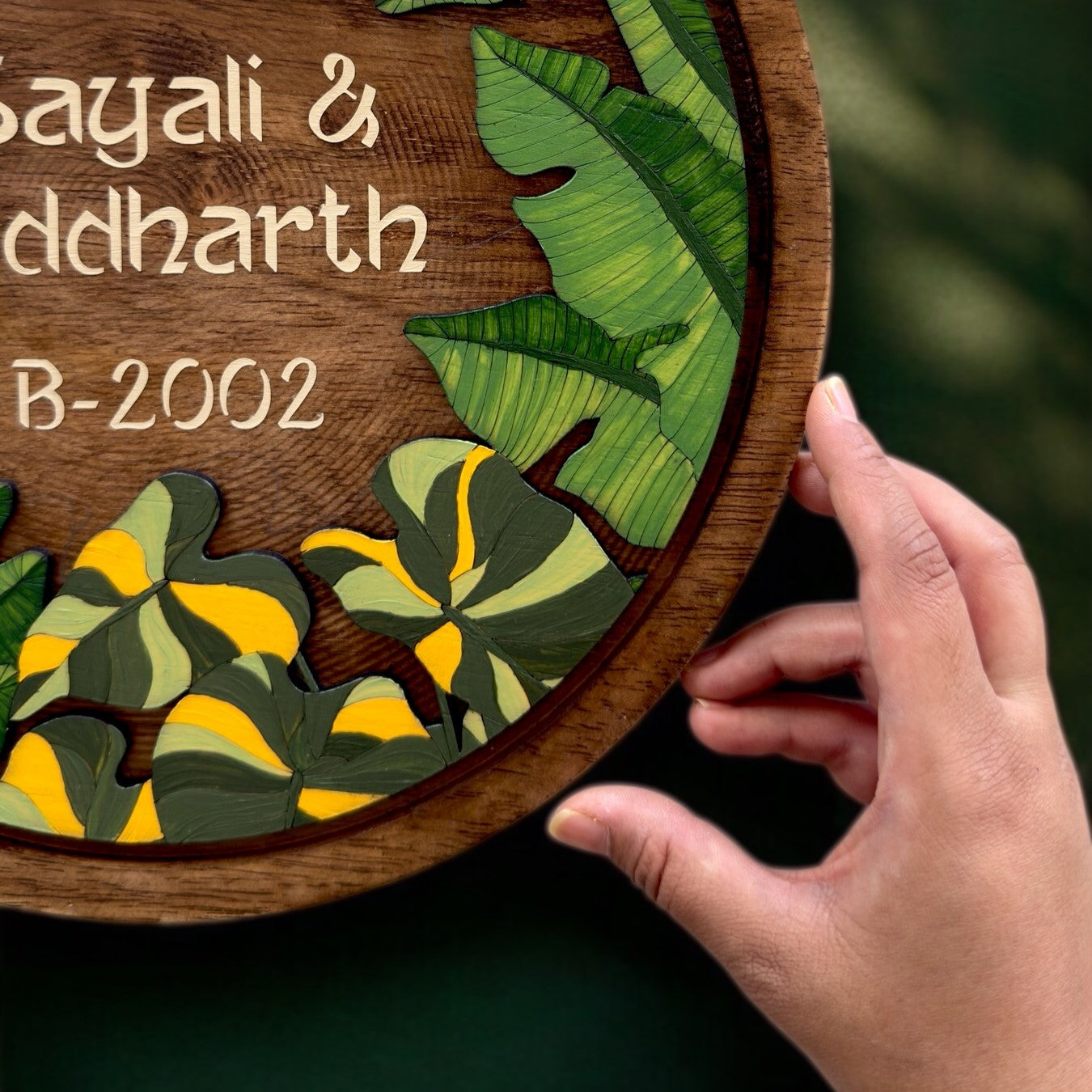 Alocasia & Banana Plant | Tropical Garden Collection
