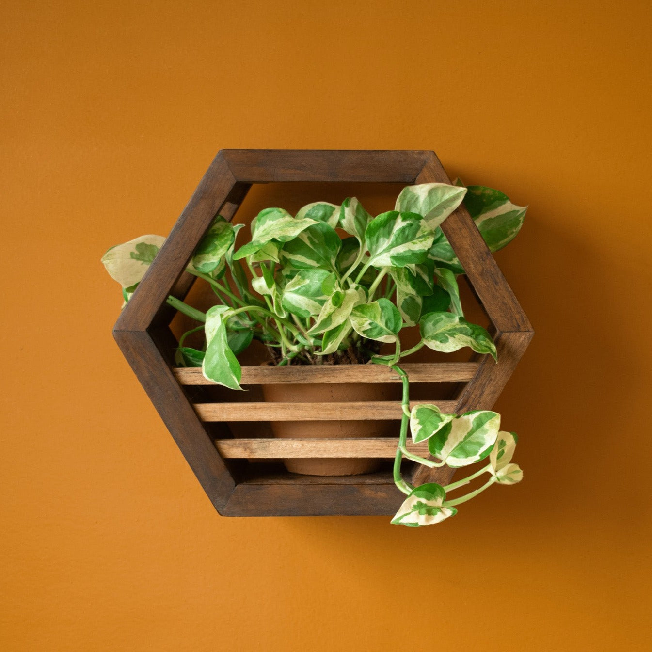 Hexagonal Planter Holder | 10" Diameter