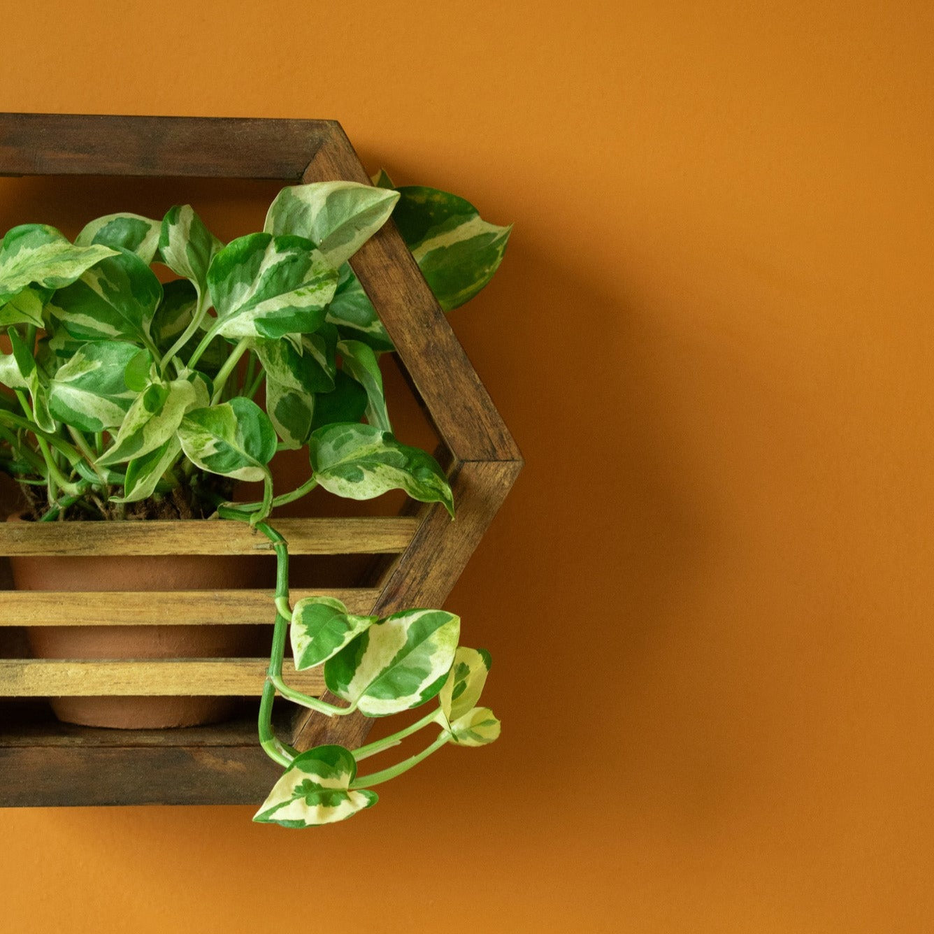 Hexagonal Planter Holder | 10" Diameter