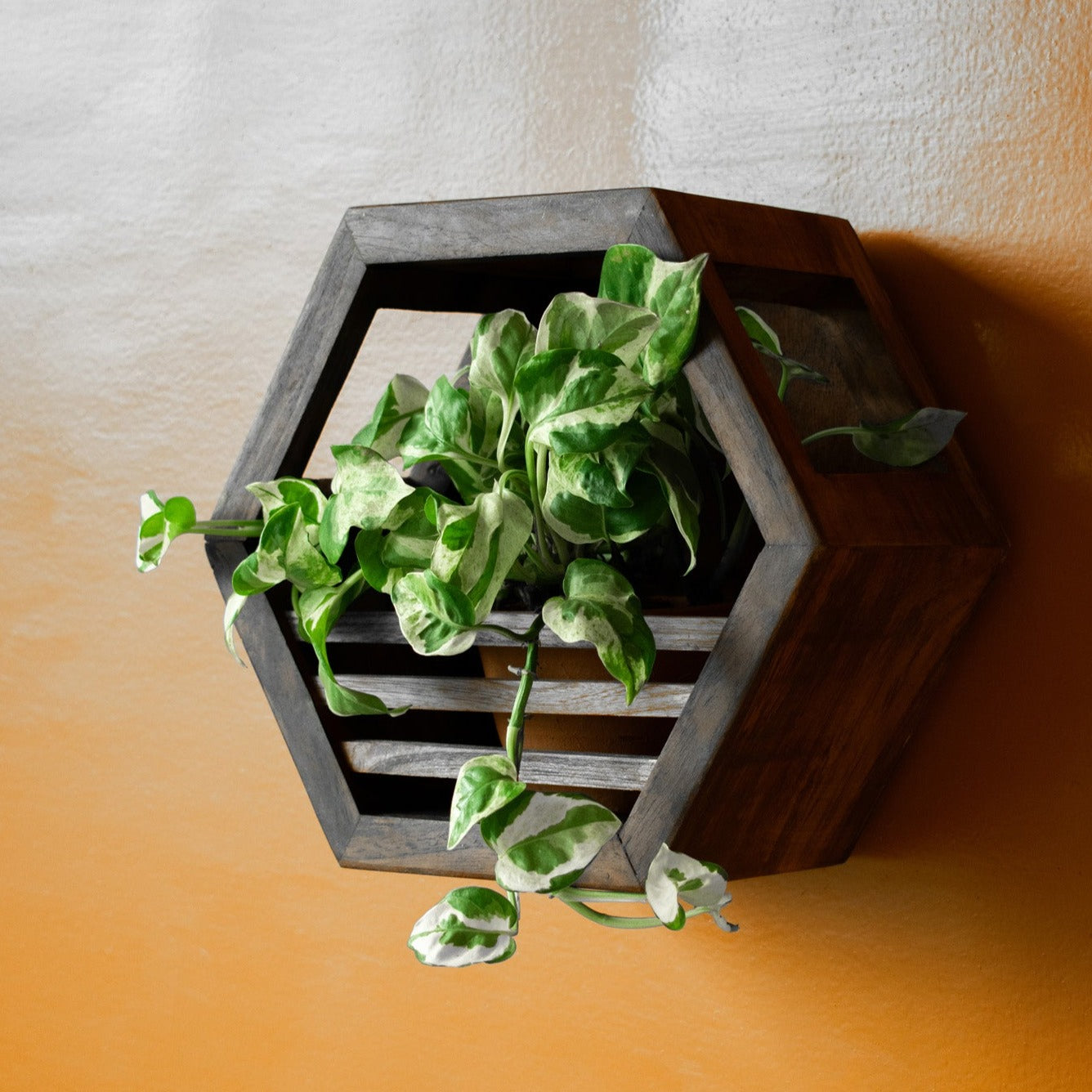 Hexagonal Planter Holder | 10" Diameter