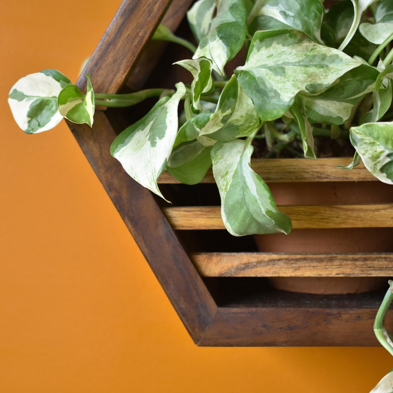 Hexagonal Planter Holder | 10" Diameter