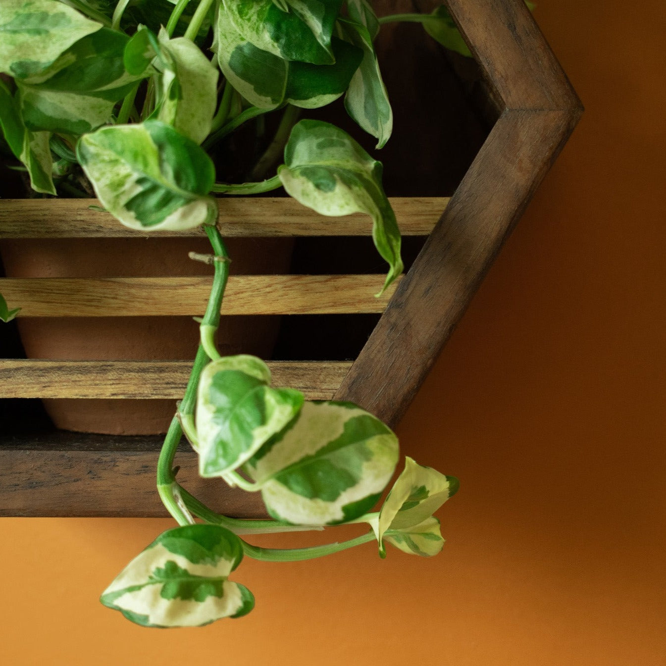 Hexagonal Planter Holder | 10" Diameter