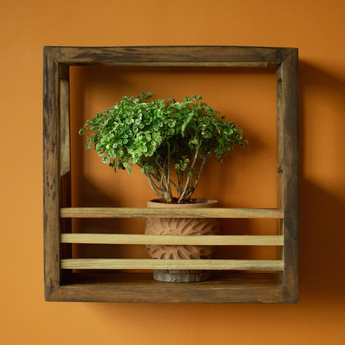 Square Planter Holder | 12"x12"