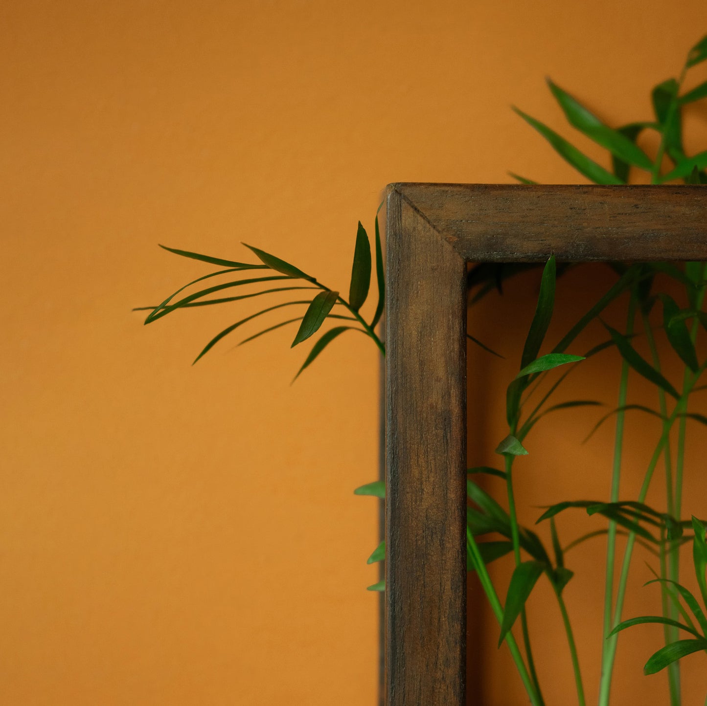 Rectangle Planter Holder | 6"x12"