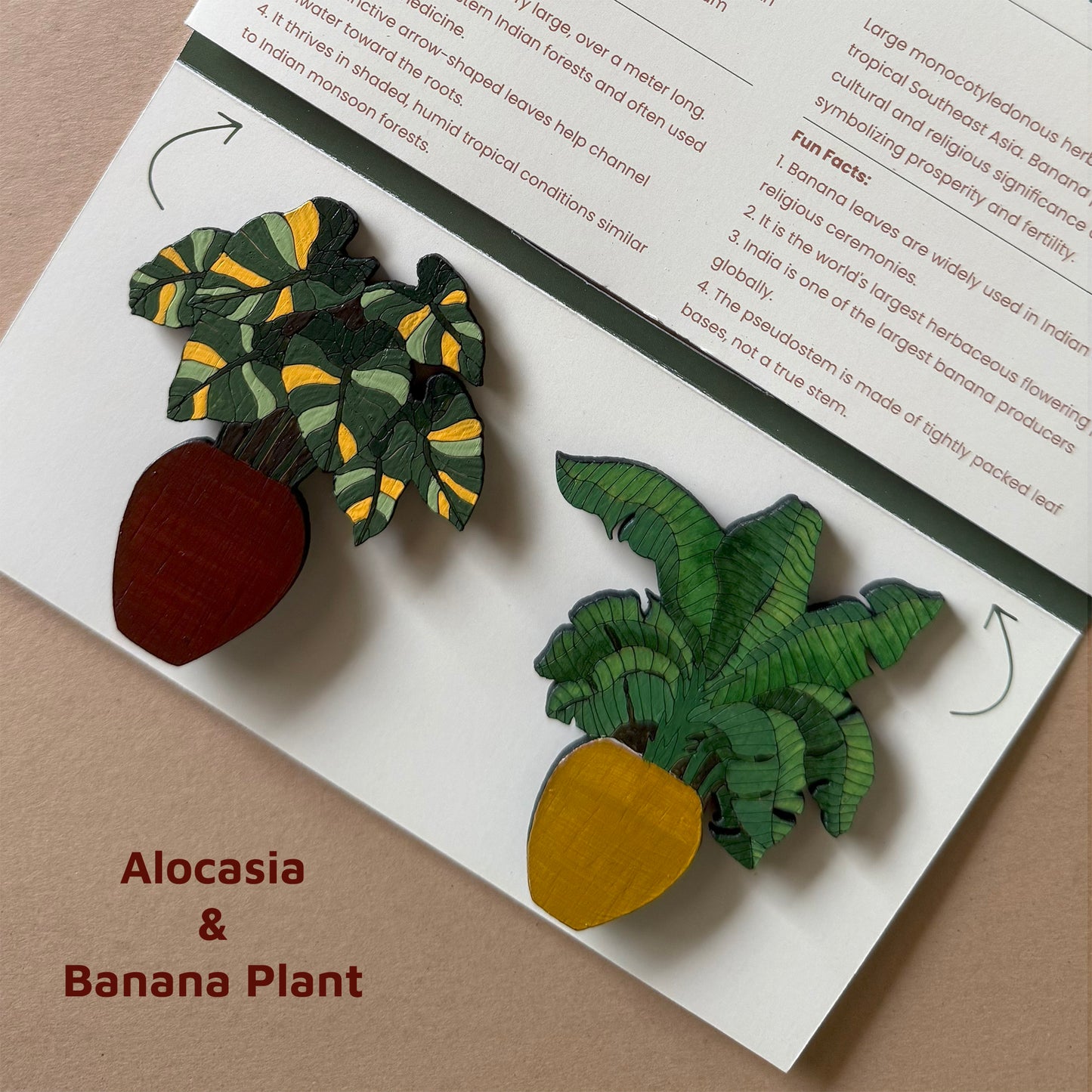 Tropical Garden Magnets | Set of 4
