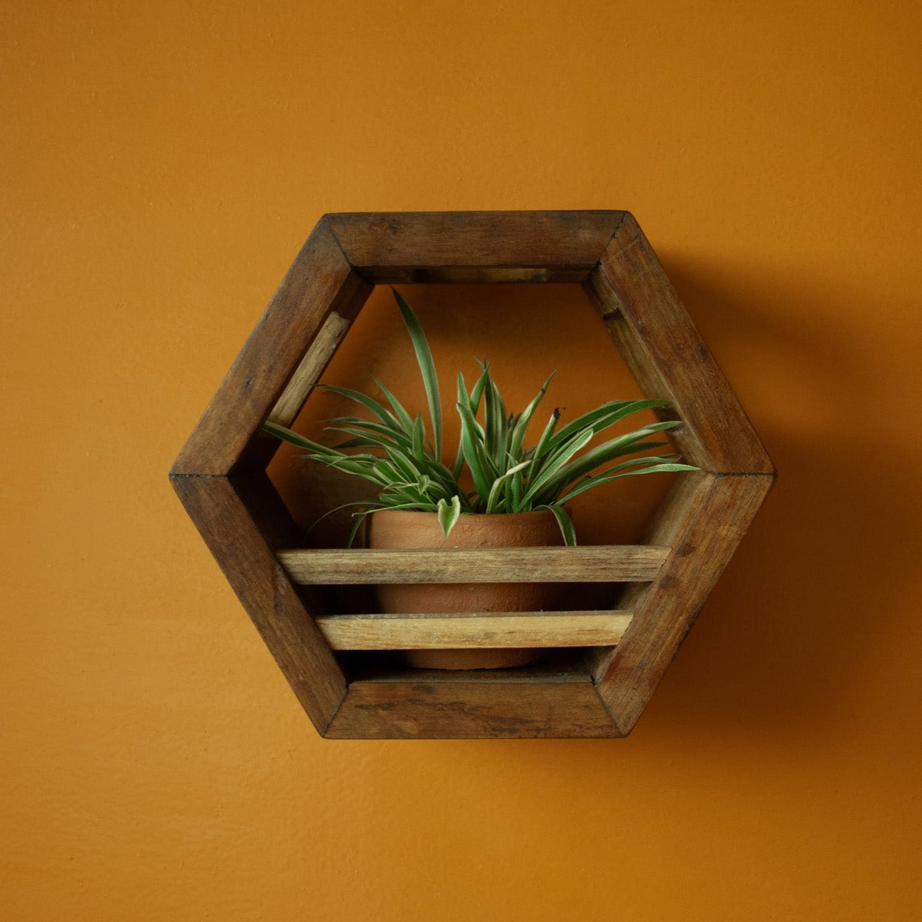 Hexagonal Planter Holder | 8" Diameter