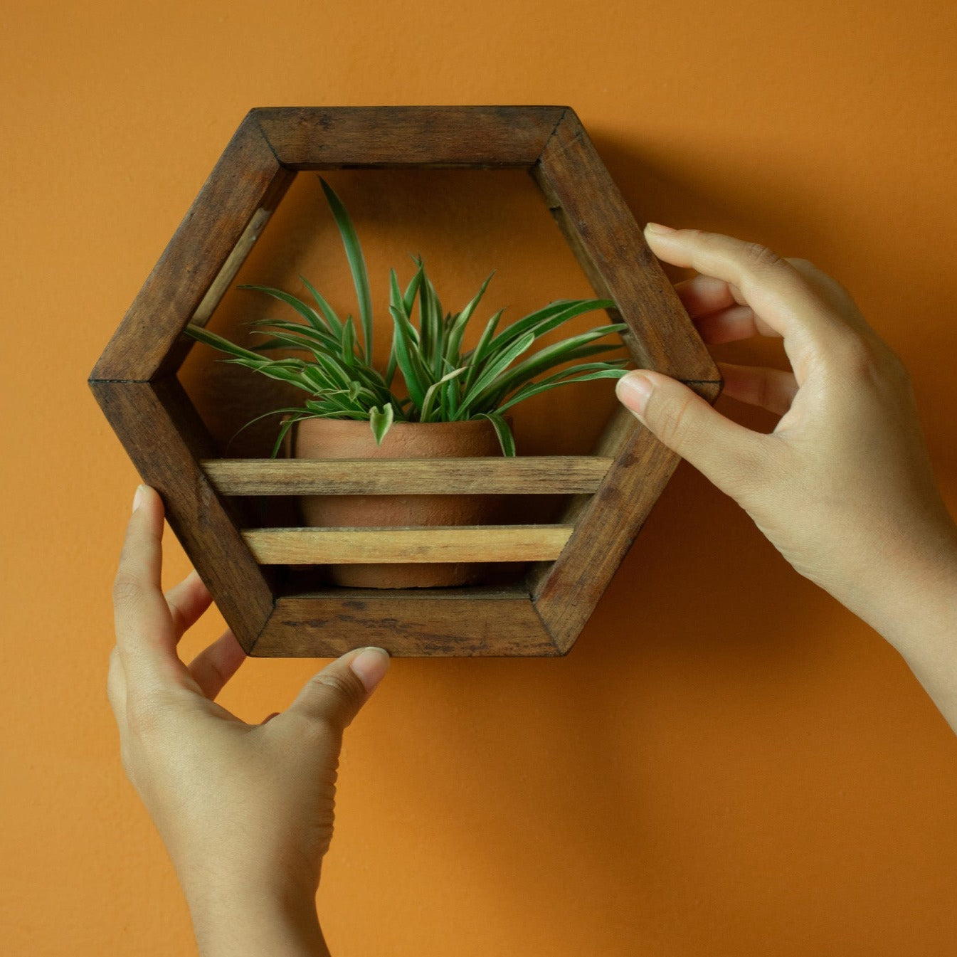 Hexagonal Planter Holder | 8" Diameter