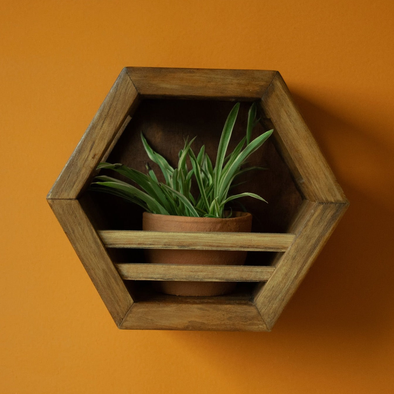 Hexagonal Planter Holder | 8" Diameter