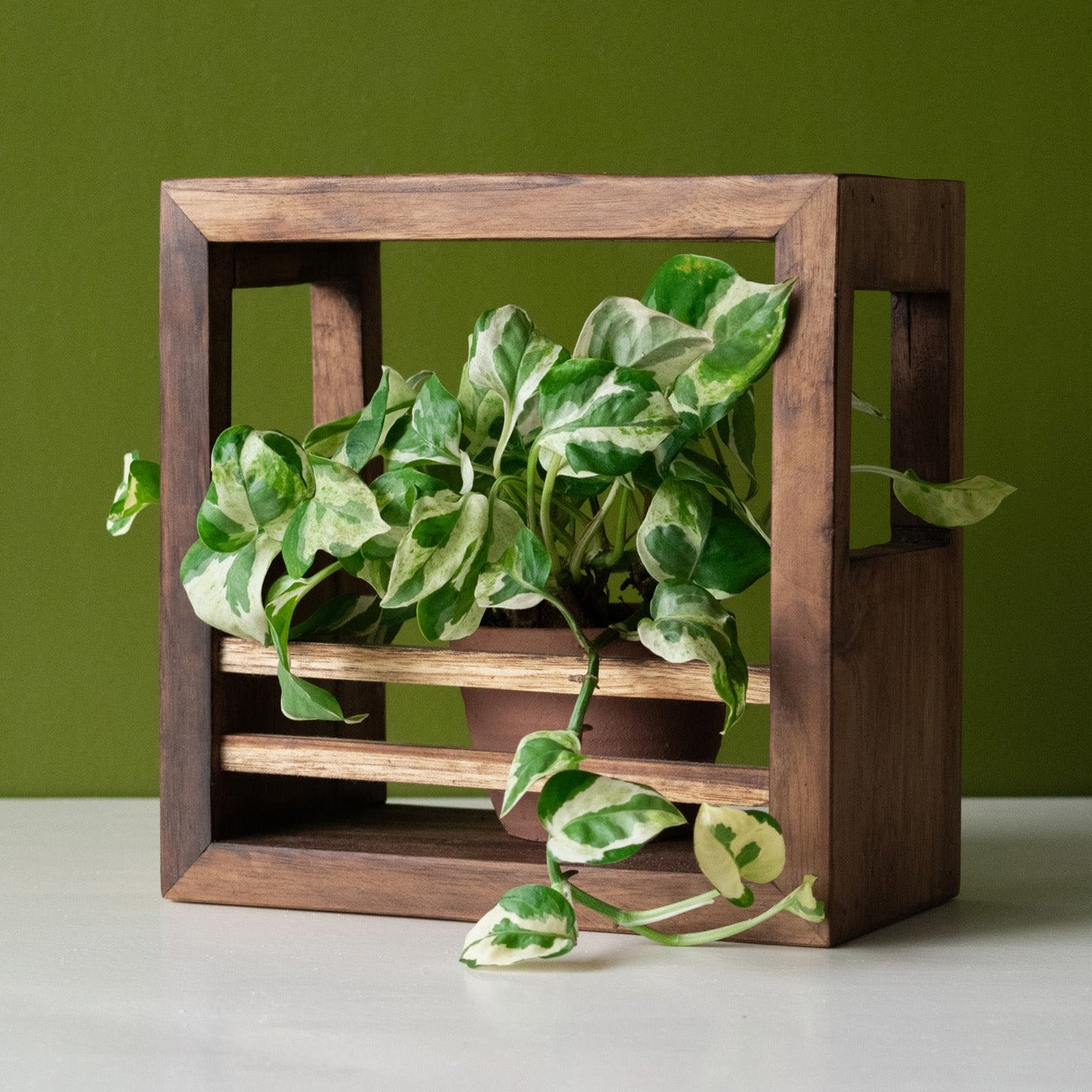 Square Planter Holder | 9"x9"