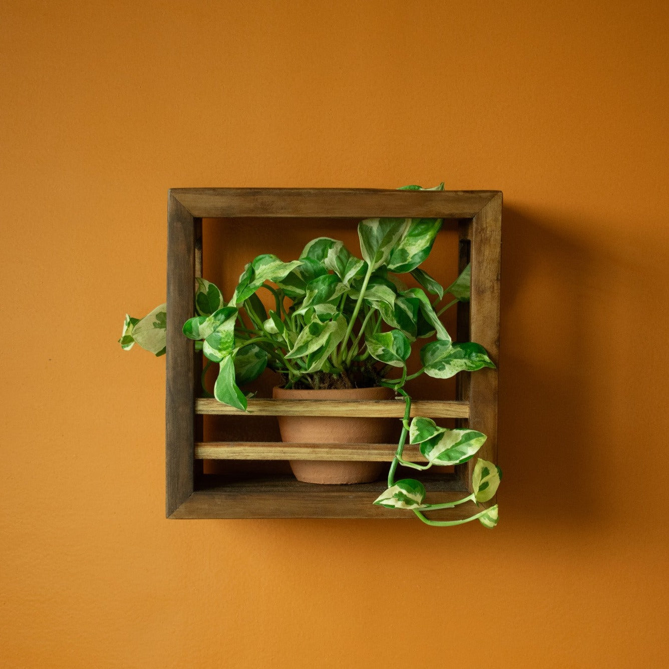 Square Planter Holder | 9"x9"