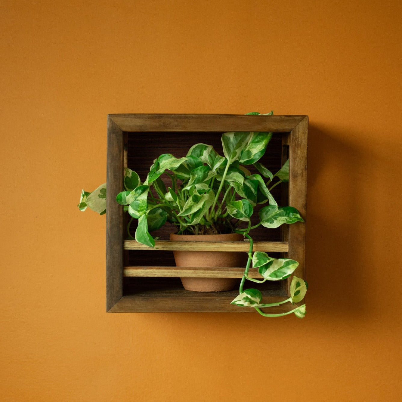 Square Planter Holder | 9"x9"