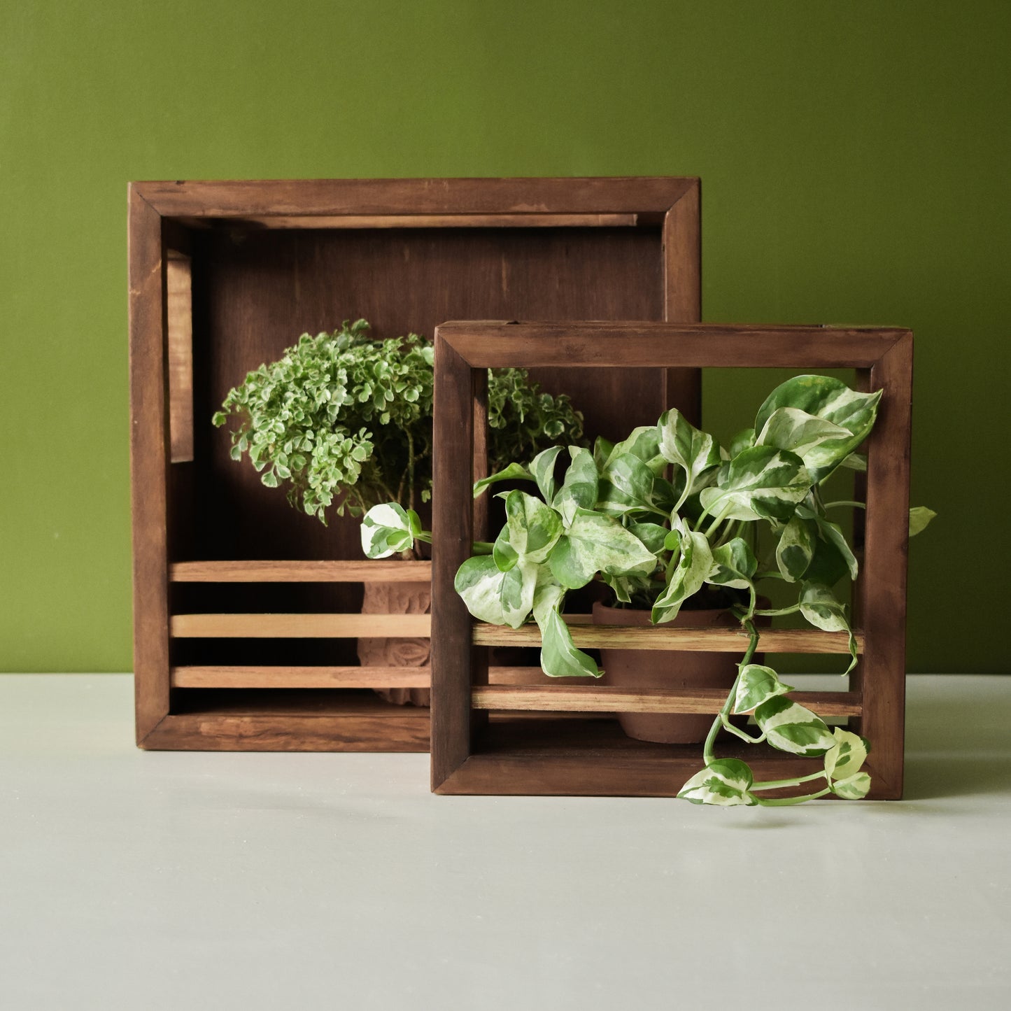 Square Variety Combo | Teak Planter Holder