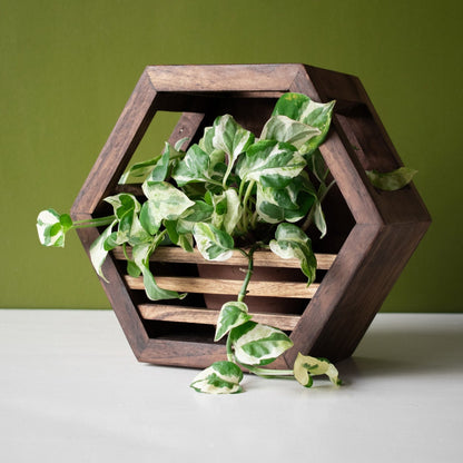Hexagonal Planter Holder | 10" Diameter