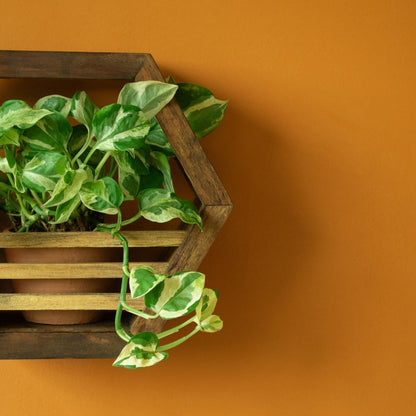 Hexagonal Planter Holder | 10" Diameter