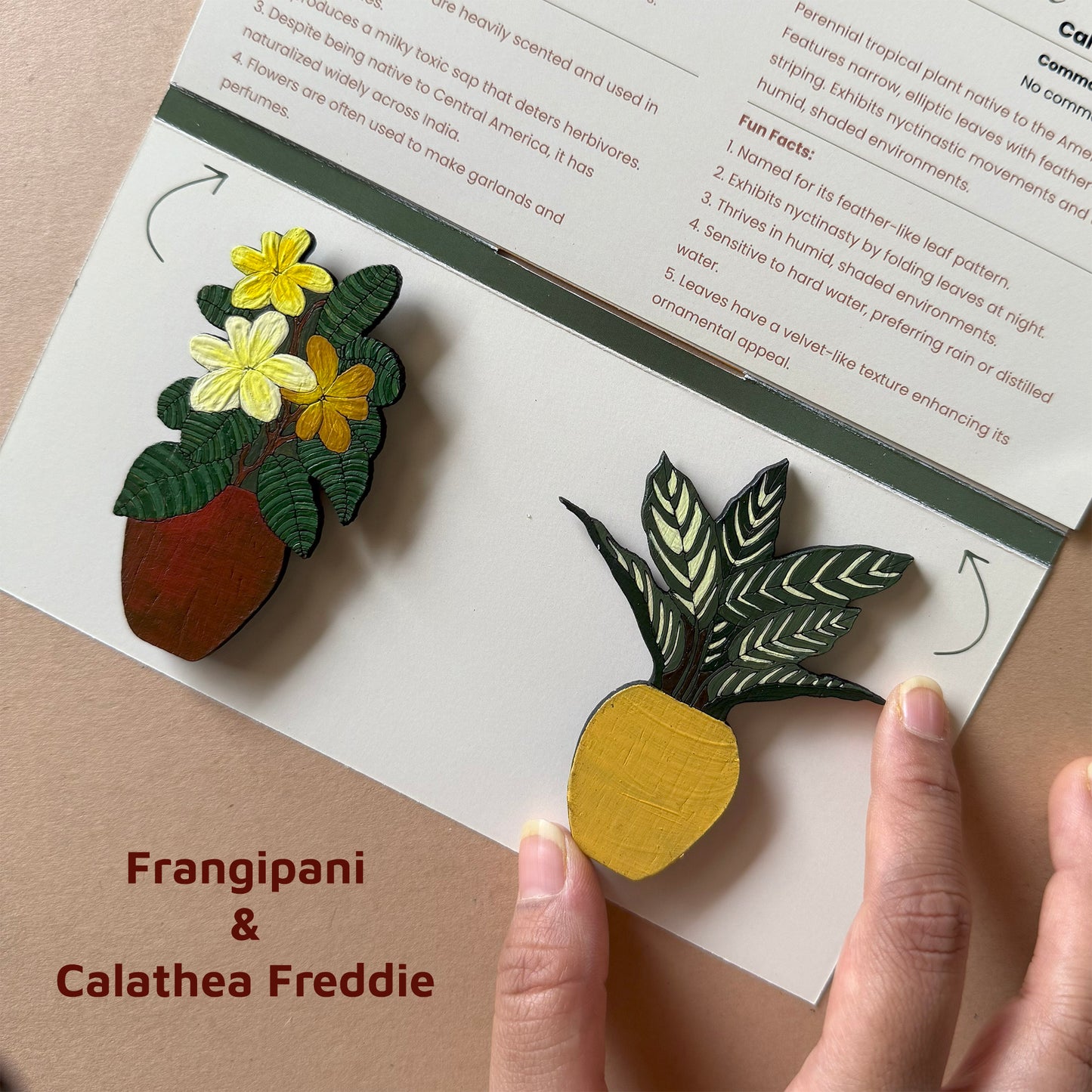 Tropical Garden Magnets | Set of 2