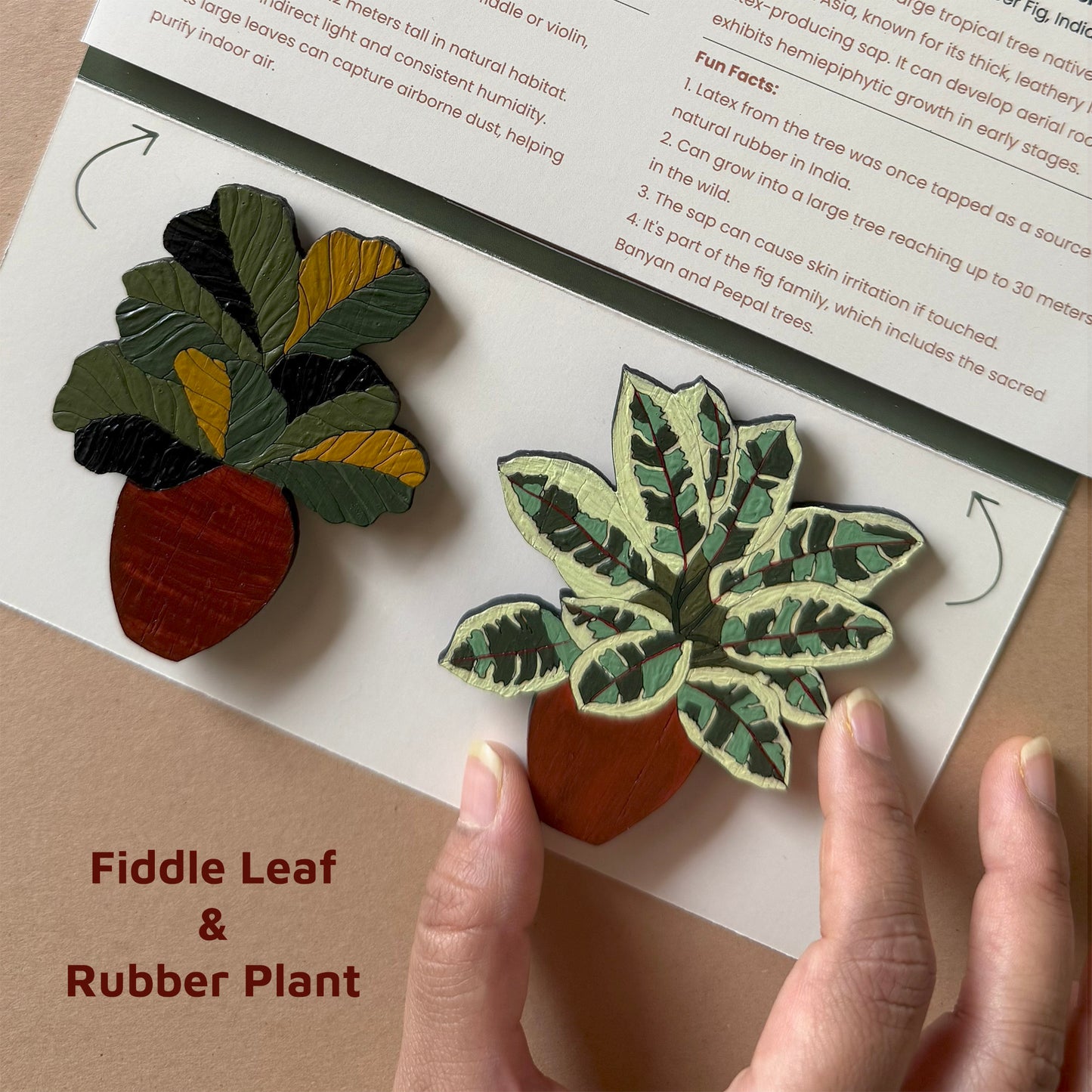 Tropical Garden Magnets | Set of 2