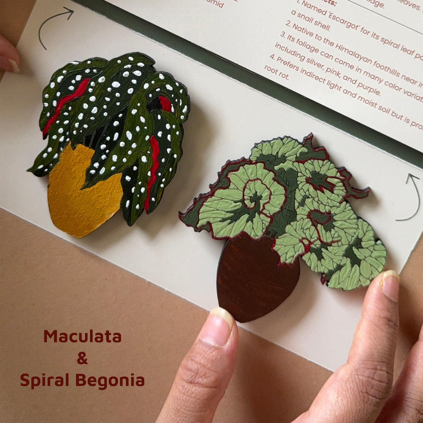 Tropical Garden Magnets | Set of 2