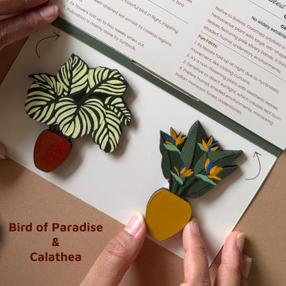 Tropical Garden Magnets | Set of 2