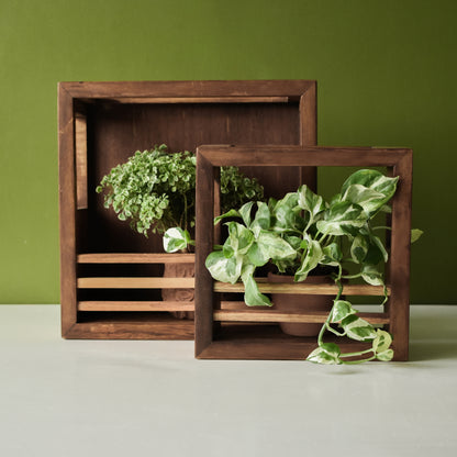 Square Variety Combo | Teak Planter Holder